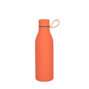 Stainless Steel Water Bottle 550ml Vacuum Insulated Water Bottle